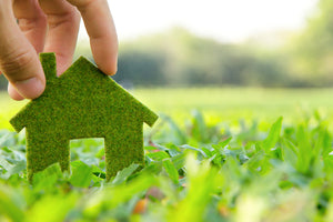Selling an Environmentally Friendly Home? Here Are 3 Tips