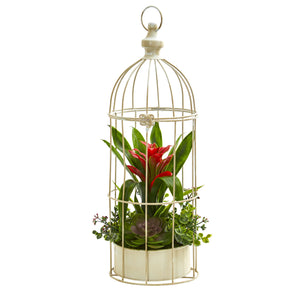 19” Bromeliad & Succulent Artificial Arrangement In Bird Cage