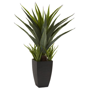 Agave W/Black Planter