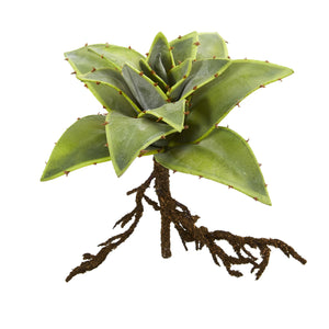 10” Succulent Artificial Plant With Roots (Set Of 3)