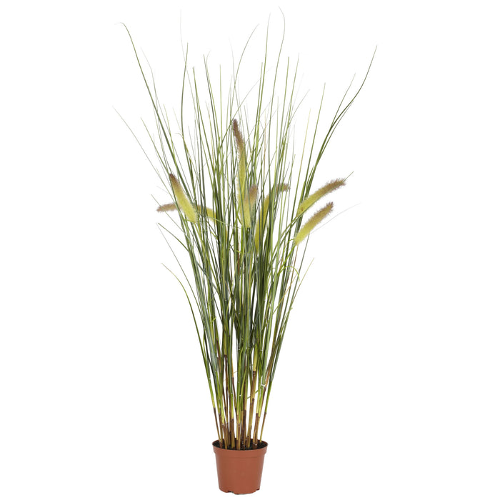 2.5' Grass Plant