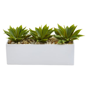 Agave Succulent in Rectangular Planter