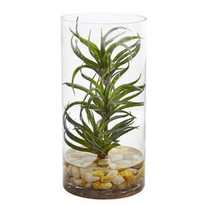 Air Plant Artificial Succulent In Glass Vase