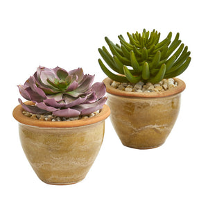 Large Succulent Artificial Plant In Ceramic Vase (Set Of 2)