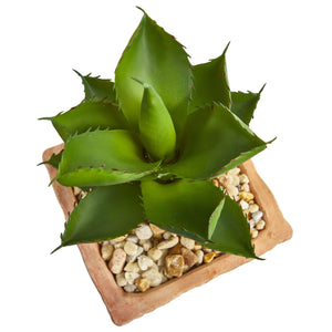 9” Mixed Succulent Artificial Plant In Terra Cotta Planter (Set Of 2)
