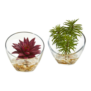 Succulent Artificial Plant In Slanted Glass Vase (Set Of 2)