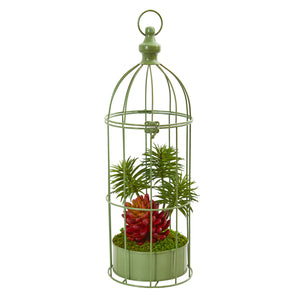 20” Succulent Artificial Plant In Decorative Cage
