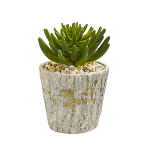 11” Succulent Artificial Plant In Weathered Oak Planter