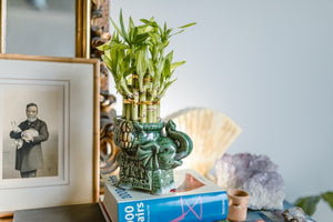 The Power of Placement: Using Feng Shui Principles in Home Staging