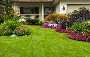 8 Tips to Stage a Home's Exterior and Yard