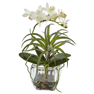 Orchid and Succulent Arrangement 