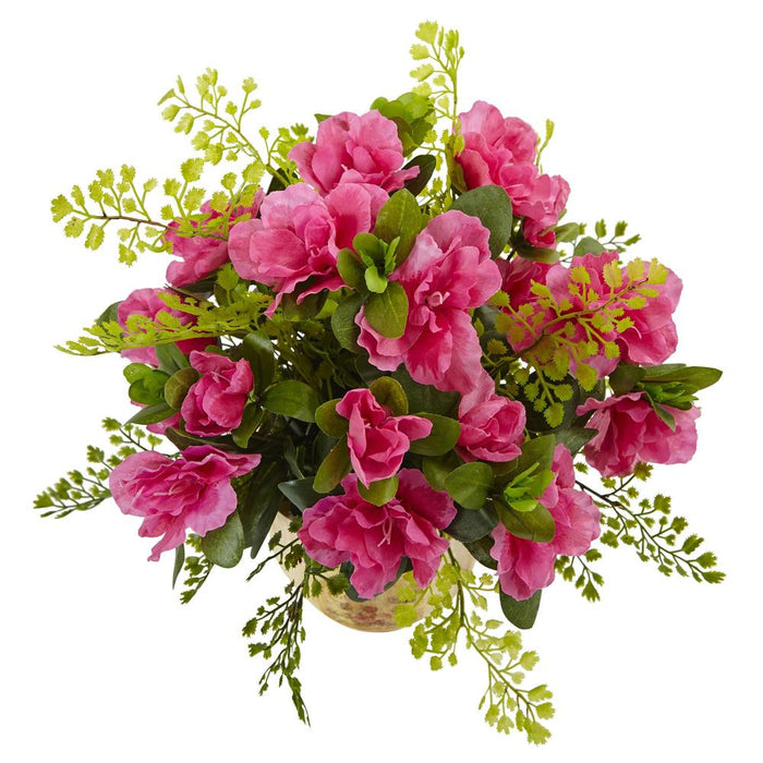 Azalea and Maiden Hair with Planter