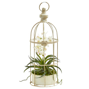 Mini Phalaenopsis Orchid Artificial Arrangement In Bird Cage