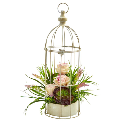 Bird Cages