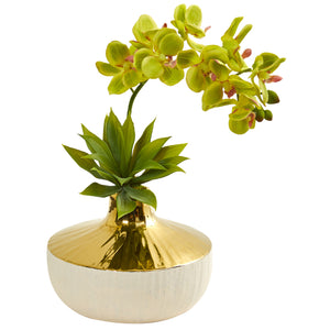 Phalaenopsis Orchid And Agave Artificial Arrangement In Vase