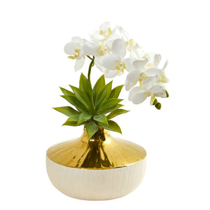 Phalaenopsis Orchid And Agave Artificial Arrangement In Vase