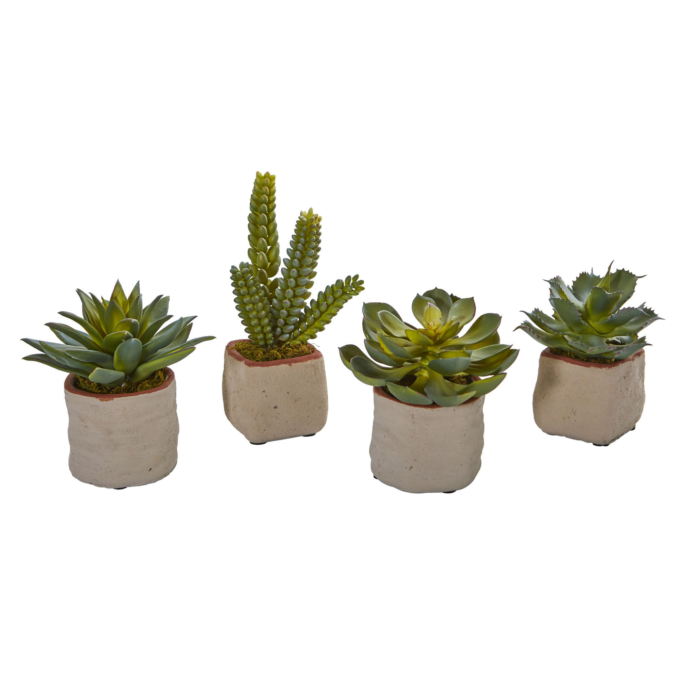 succulent warehouse Mixed Succulent Artificial Plant (Set Of 4)