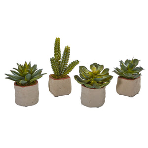 Mixed Succulent Artificial Plant (Set Of 4) - Home Staging Warehouse