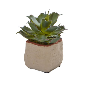 Mixed Succulent Artificial Plant (Set Of 4) -4
