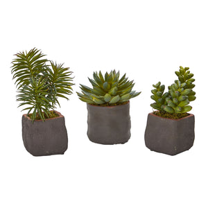 Mixed Succulent Trio Artificial Plant (Set Of 3)