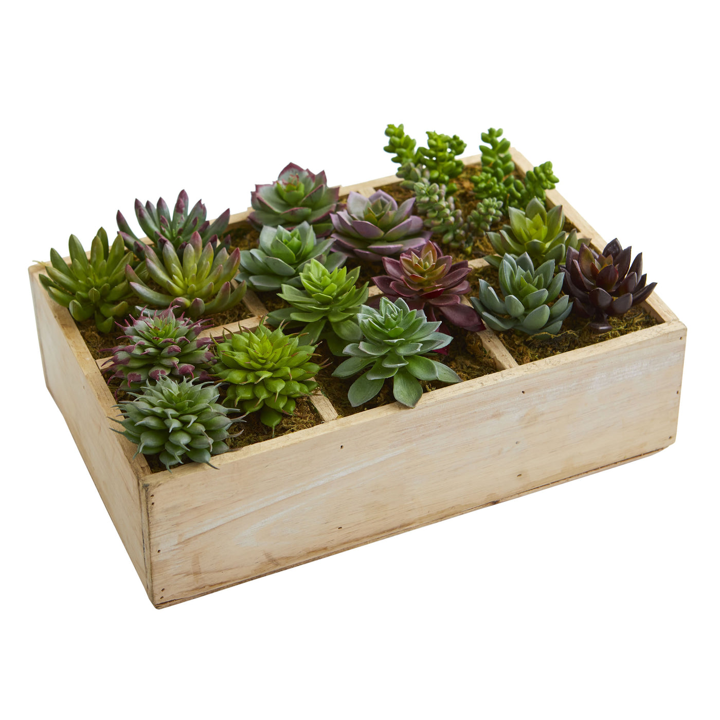 succulent warehouse 12” Mixed Succulent Garden in Tray Artificial Plant – Home Staging Warehouse