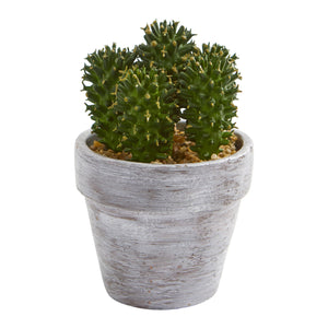 8” Cactus Artificial Plant (Set of 3)