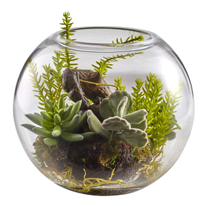 Mix Succulent Garden with Glass Vase