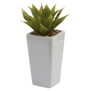 Mini Agave w/ Planter (Set of 3) White - 3