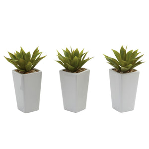 Mini Agave w/ Planter (Set of 3) White - Home Staging Warehouse