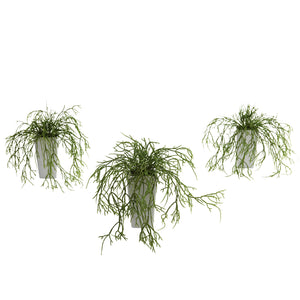 Wild Grass w/White Vase (Set of 3)