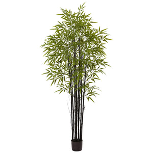 6’ Black Bamboo Tree UV Resistant (Indoor/Outdoor)