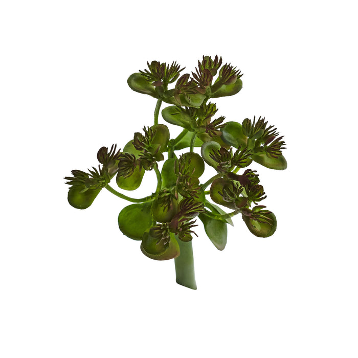 Sedum Succulent Artificial Plant (Set of 12)