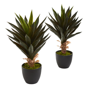 Agave Artificial Plant (Set Of 2)
