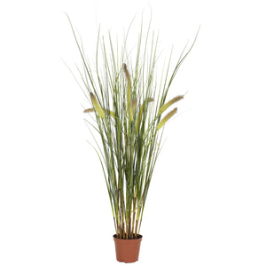2.5' Grass Plant - Home Staging Warehouse