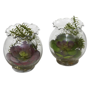 Succulent w/Fluted Vase (Set of 2)