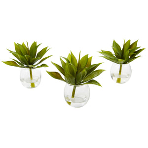 Agave Succulent with Vase (Set of 3)