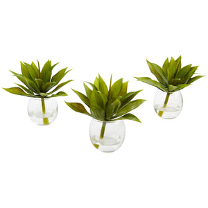 Agave Succulent with Vase (Set of 3)