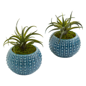 Air Plant Artificial Succulent In Blue Vase (Set Of 2)