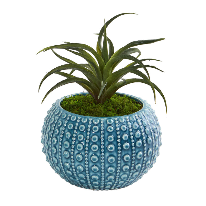 Air Plant Artificial Succulent In Blue Vase (Set Of 2)