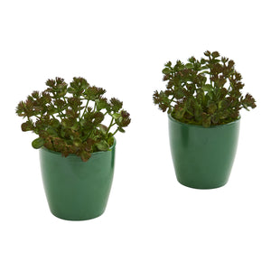 Sedum Succulent Artificial Plant in Green Planter (Set of 2)