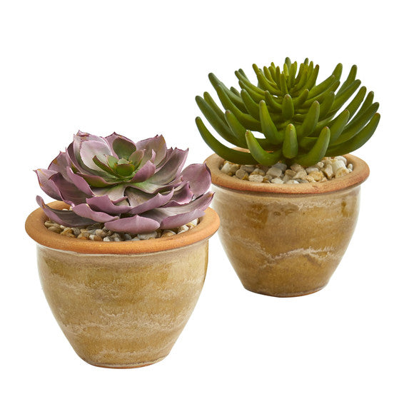 Large Succulent Artificial Plant In Ceramic Vase (Set Of 2)