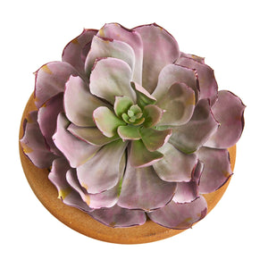 Large Succulent Artificial Plant In Ceramic Vase (Set Of 2)