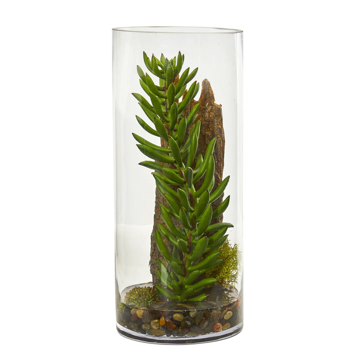 Succulent And Sedum Artificial Plant In Cylinder Vase