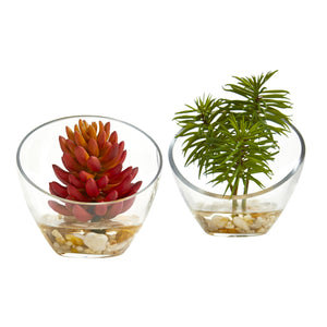 Succulent Artificial Plant In Slanted Glass Vase (Set Of 2)