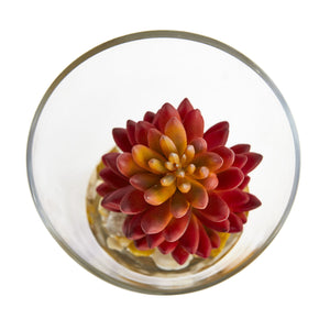Succulent Artificial Plant In Slanted Glass Vase (Set Of 2)