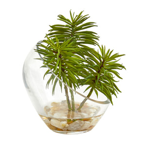 Succulent Artificial Plant In Slanted Glass Vase (Set Of 2)