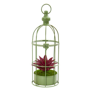 15” Succulent Artificial Plant In Decorative Cage