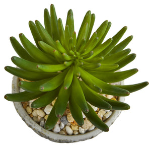 11” Succulent Artificial Plant In Weathered Oak Planter
