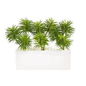 Spiky Succulent Garden Artificial Plant In White Ceramic Vase