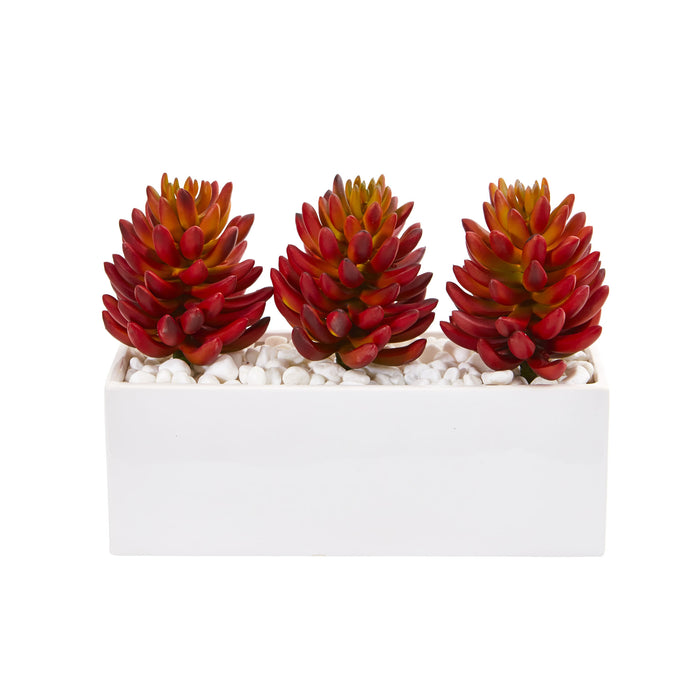 Triple Succulent Artificial Succulent In White Vase